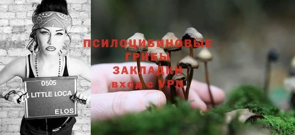 МДПВ Армянск