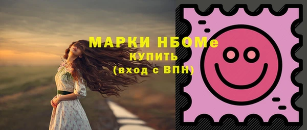МДПВ Ельня