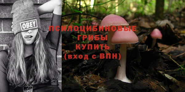 МДПВ Армянск
