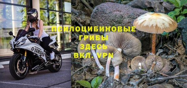 скорость Арсеньев