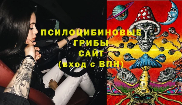 МДПВ Армянск