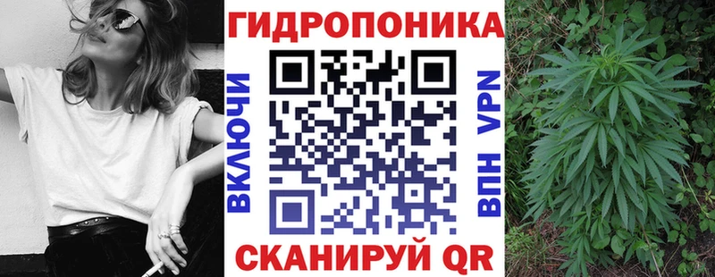 где найти наркотики  кракен ссылки  МАРИХУАНА сатива  Таштагол 